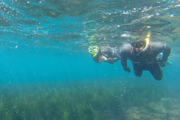 Snorkeling in Ischia between caves and gaseous emissions