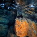Snorkeling a Ischia tra grotte ed emissioni gassose