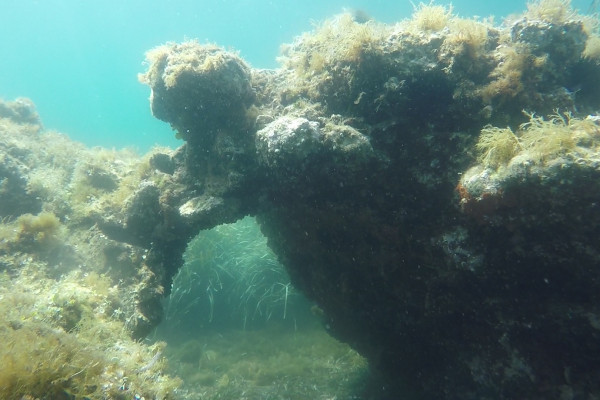 Snorkeling a Ischia tra grotte ed emissioni gassose