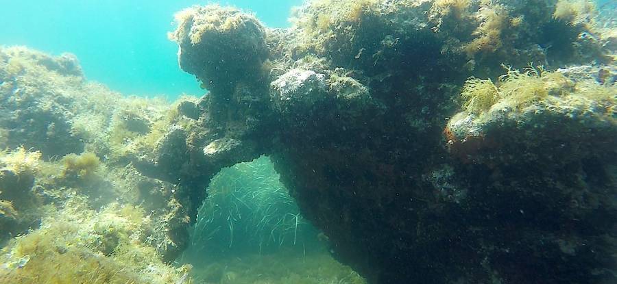 Snorkeling a Ischia tra grotte ed emissioni gassose