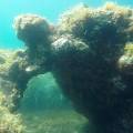 Snorkeling a Ischia tra grotte ed emissioni gassose