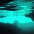 Snorkeling a Ischia tra grotte ed emissioni gassose